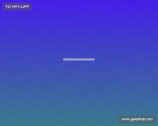 山东搏击赛事激情开战齐鲁英雄齐聚擂台争霸荣耀时刻