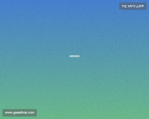 拳击比赛新闻报道