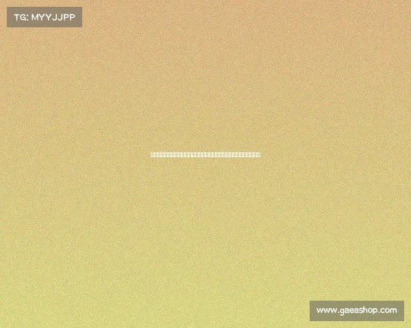 聚焦伯明翰城足球俱乐部二零二四赛季赛事全程深度分析及未来赛程预测